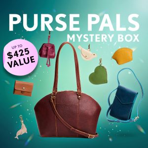 Purse Pals Mystery Box